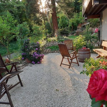 Gaestehaus Gerhardt Schweigen-Rechtenbach Exteriér fotografie