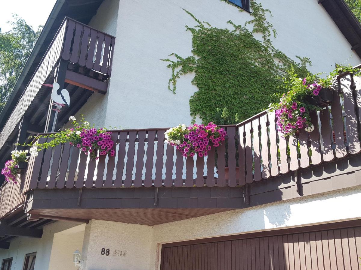 Gaestehaus Gerhardt Schweigen-Rechtenbach Exteriér fotografie