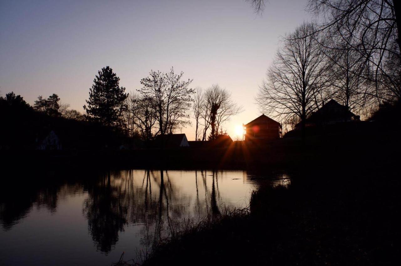Gaestehaus Gerhardt Schweigen-Rechtenbach Exteriér fotografie