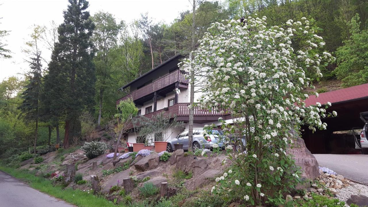 Gaestehaus Gerhardt Schweigen-Rechtenbach Exteriér fotografie