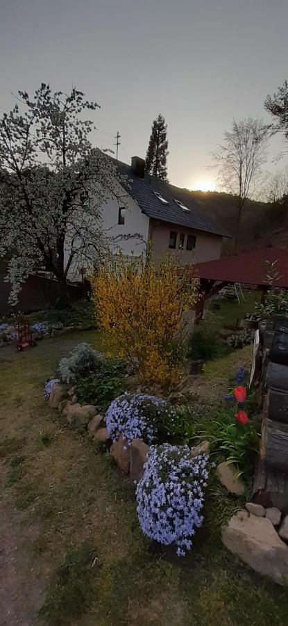 Gaestehaus Gerhardt Schweigen-Rechtenbach Exteriér fotografie