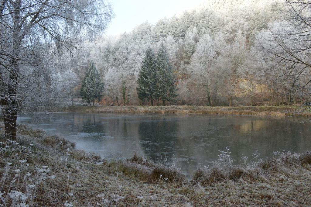 Gaestehaus Gerhardt Schweigen-Rechtenbach Exteriér fotografie