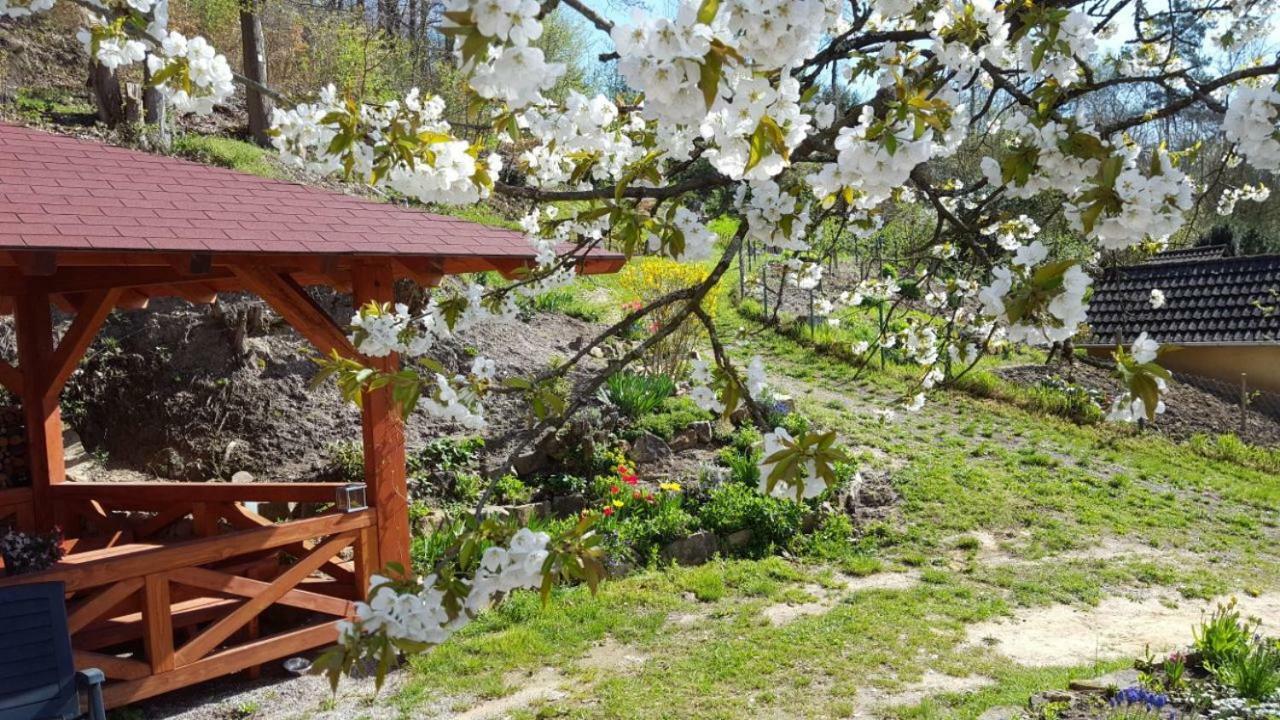 Gaestehaus Gerhardt Schweigen-Rechtenbach Exteriér fotografie